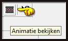 Animatie bekijken