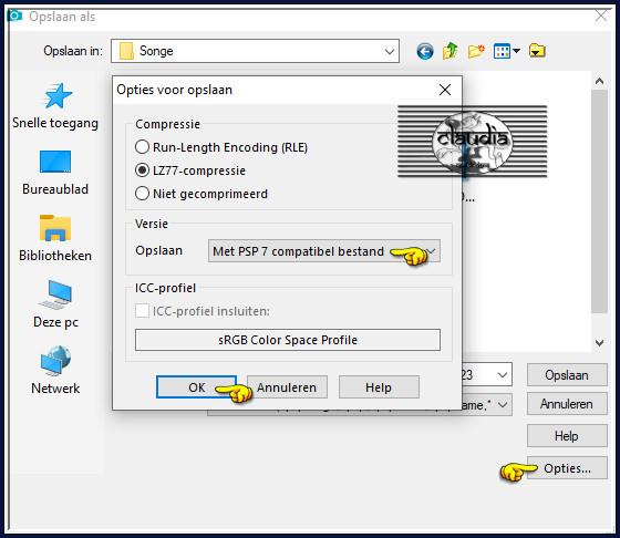 Bestand - Opslaan als ... : Sla dit werkje op als psp-image formaat, compatibel met PSP7 :