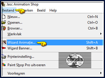 Klik op "Bestand - Wizard Animatie" :