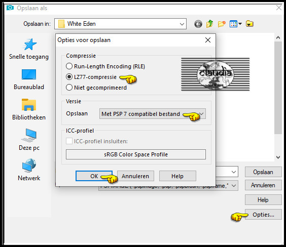 Bestand - Opslaan als ... psp-image bestand en bij Opties kies je deze instellingen
