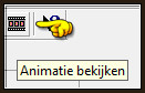Animatie bekijken