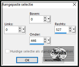 Activeer het Selectiegereedschap (toets S op het toetsenbord) - Aangepaste selectie en voer deze getallen in :