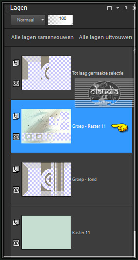 Activeer de 3de laag onderaan (= Groep - Raster 11) :