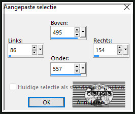 Activeer het Selectiegereedschap (toets S op het toetsenbord) - Aangepaste selectie en voer deze getallen in :