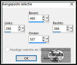 Activeer het Selectiegereedschap (toets S op het toetsenbord) - Aangepaste selectie en voer deze getallen in :