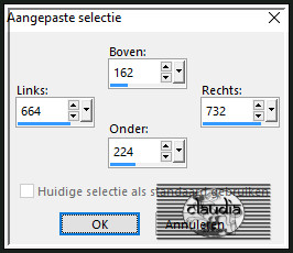 Activeer het Selectiegereedschap (toets S op het toetsenbord) - Aangepaste selectie en voer deze getallen in :