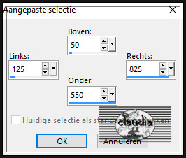 Activeer het Selectiegereedschap (toets S op het toetsenbord) - Aangepaste selectie en voer deze getallen in