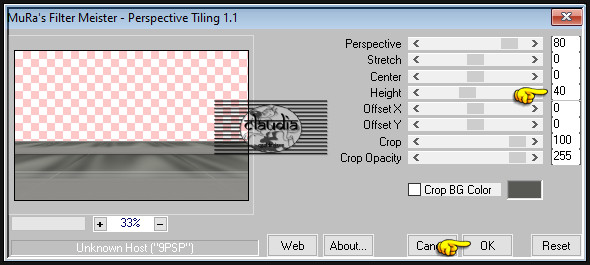 Effecten - Insteekfilters - MuRa's Meister - Perspective Tiling