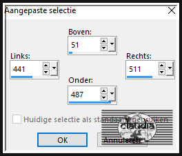 Activeer het Selectiegereedschap (toets S op het toetsenbord) - Aangepaste selectie en voer deze getallen in