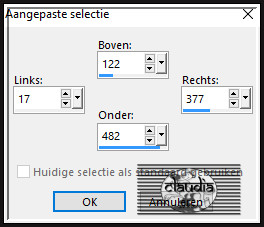 Activeer het Selectiegereedschap (toets S op het toetsenbord) - Aangepaste selectie en voer deze getallen in