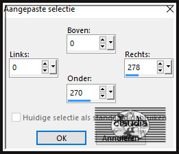 Activeer het Selectiegereedschap (toets S op het toetsenbord) - Aangepaste selectie en voer deze getallen in