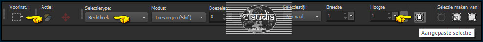 Activeer het Selectiegereedschap (toets S op het toetsenbord) - Aangepaste selectie