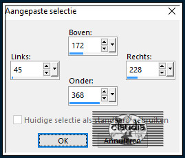 Activeer het Selectiegereedschap (toets S op het toetsenbord) - Aangepaste selectie en voer deze getallen in