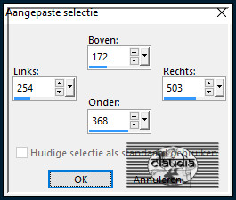 Activeer het Selectiegereedschap (toets S op het toetsenbord) - Aangepaste selectie en voer deze getallen in