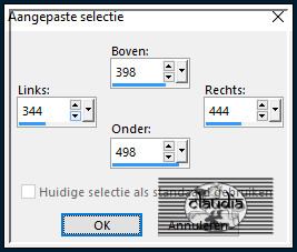 Activeer het Selectiegereedschap (toets S op het toetsenbord) - Aangepaste selectie en voer deze getallen in