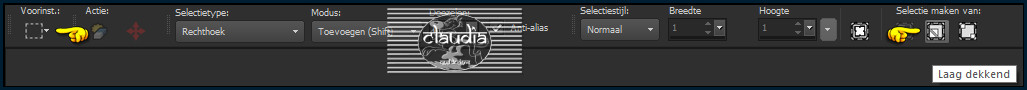 Activeer het Selectiegereedschap (toets S op het toetsenbord) - Laag dekkend
