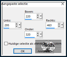 Activeer het Selectiegereedschap (toets S op het toetsenbord) - Aangepaste selectie en voer deze getallen in