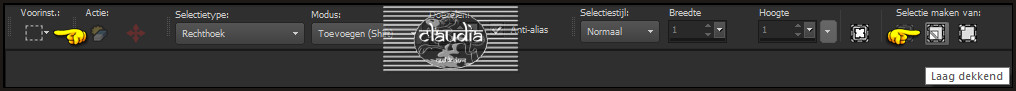 Activeer het Selectiegereedschap (toets S op het toetsenbord) - Laag dekkend :