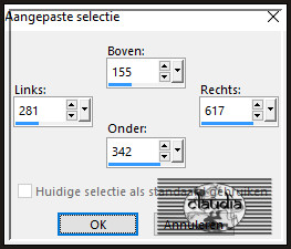 Activeer het Selectiegereedschap (toets S op het toetsenbord) - Aangepaste selectie en voer deze getallen in :