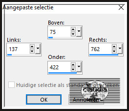 Activeer het Selectiegereedschap (toets S op het toetsenbord) - Aangepaste selectie en voer deze getallen in :