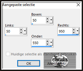 Activeer het Selectiegereedschap (toets S op het toetsenbord) - Aangepaste selectie en voer deze getallen in :