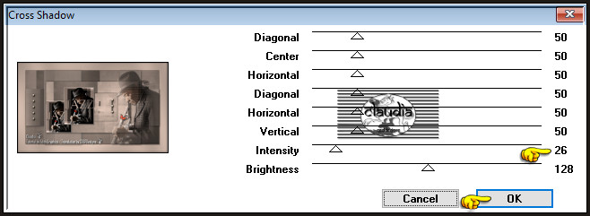 Effecten - Insteekfilters - Graphics Plus - Cross Shadow :