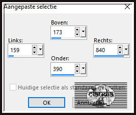 Activeer het Selectiegereedschap (toets S op het toetsenbord) - Aangepaste selectie en voer deze getallen in