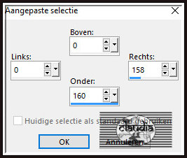 Activeer het Selectiegereedschap (toets S op het toetsenbord) - Aangepaste selectie en voer deze getallen in