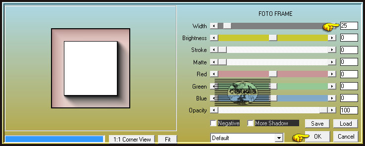 Effecten - Insteekfilters - AAA Frames - Foto Frame