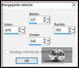 Activeer het Selectiegereedschap (toets S op het toetsenbord) - Aangepaste selectie en voer deze getallen in