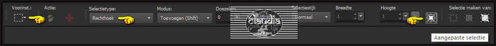 Activeer het Selectiegereedschap (toets S op het toetsenbord) - Aangepaste selectie