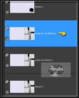 Activeer de laag "Kopie (2) van Raster 3" in het Lagenpallet