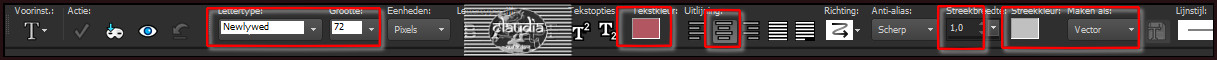 Activeer het "Tekstgereedschap" en zoek het bijgeleverde font "Newlywed3" met deze instellingen :