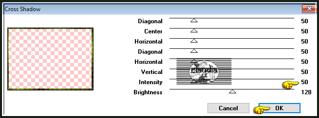 Effecten - Insteekfilters - Graphics Plus - Cross Shadow