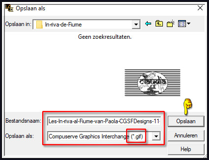 Bestand - Opslaan als : geef de animatie een naam en zorg dat het als GIF wordt opgeslagen