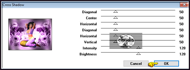 Effecten - Insteekfilters - Graphics Plus - Cross Shadow