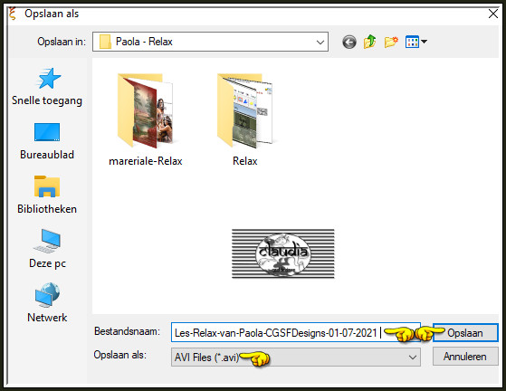 Geef je werkje een naam en sla het op als AVI Files 