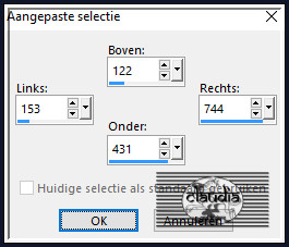 Activeer het Selectiegereedschap (toets S op het toetsenbord) - Aangepaste selectie en voer deze getallen in