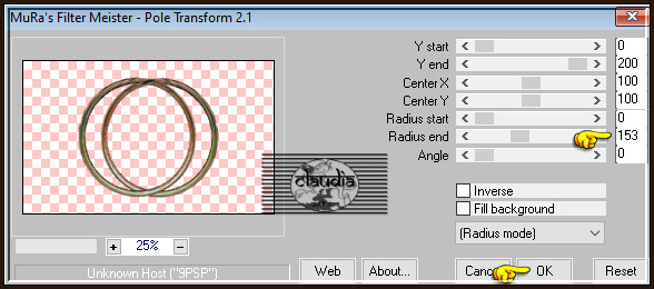 Effecten - Insteekfilters - MuRa's Meister - Pole Transform :