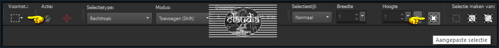 Activeer het Selectiegereedschap (toets S op het toetsenbord) - Aangepaste selectie