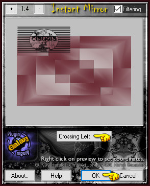 Effecten - Insteekfilters - Plugin Galaxy - Instant Mirror