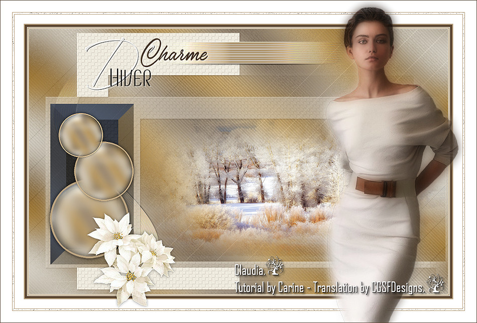 Les : Charme d'Hiver van Carine