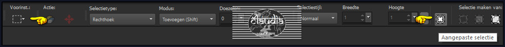 Activeer het Selectiegereedschap (toets S op het toetsenbord) - Aangepaste selectie