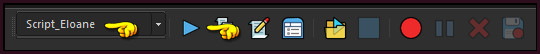 Activeer het Scriptgereedschap en zoek het script "Script_Eloane" en klik op de blauwe pijl om het script te starten
