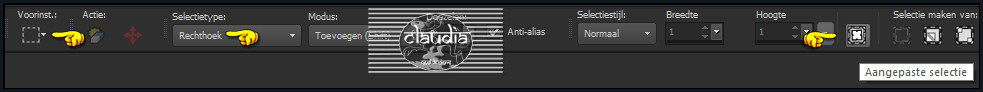 Activeer het Selectiegereedschap (toets S op het toetsenbord) - Aangepaste selectie