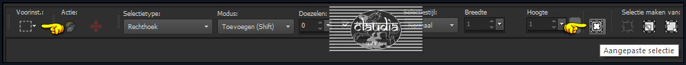Activeer het Selectiegereedschap (toets S op het toetsenbord) - Aangepaste selectie
