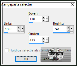 Activeer het Selectiegereedschap (toets S op het toetsenbord) - Aangepaste selectie en voer deze getallen in :