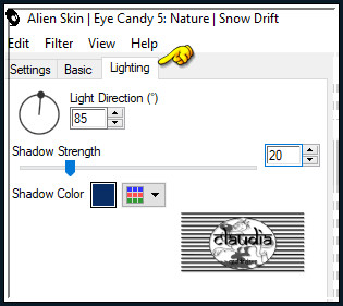 Effecten - Insteekfilters - Alien Skin Eye Candy 5 : Nature - Snow Drift