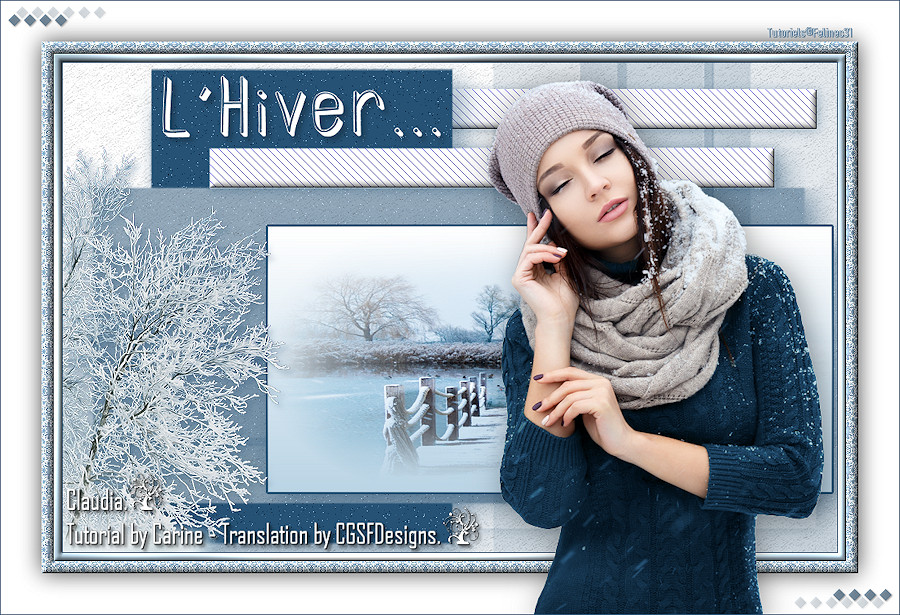 Les : L' Hiver van Carine