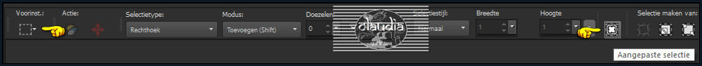 Activeer het Selectiegereedschap (toets S op het toetsenbord) - Aangepaste selectie